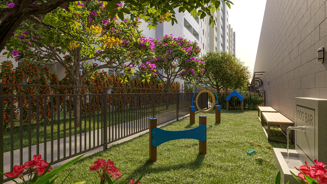 emccamp-alma-carioca-espaco-pet